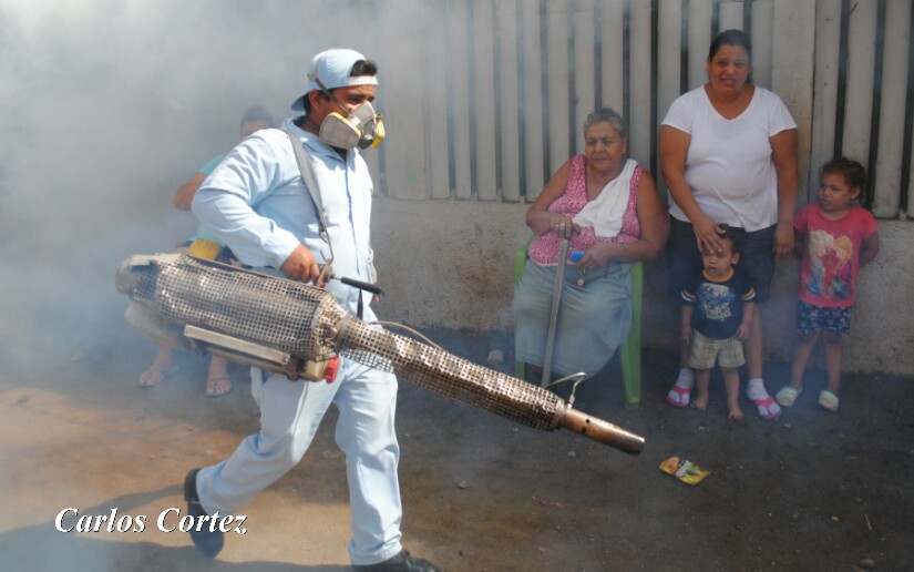 Fumigar2